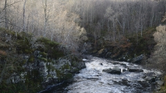 Scottish-river-L.Moser_